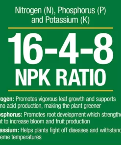 Vigoro 4.2 lb. All Season Fruit, Nut and Citrus Fertilizer Spikes (16-4-8) (15-Count) 8 Vigoro 4.2 lb. All Season Fruit, Nut and Citrus Fertilizer Spikes (16-4-8) (15-Count) -Vigoro sales Store vigoro plant food fertilizer 154306 4f 1000