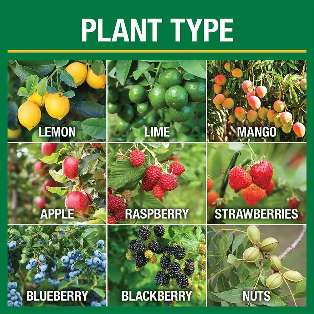 Vigoro 4.2 lb. All Season Fruit, Nut and Citrus Fertilizer Spikes (16-4-8) (15-Count) 4 Vigoro 4.2 lb. All Season Fruit, Nut and Citrus Fertilizer Spikes (16-4-8) (15-Count) - Image 2