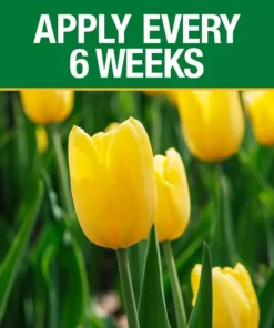 Vigoro 3.5 lb. All Season Bulb Fuel Plant Food (9-9-6) 9 Vigoro 3.5 lb. All Season Bulb Fuel Plant Food (9-9-6) -Vigoro sales Store vigoro plant food fertilizer 156269 1f 1000