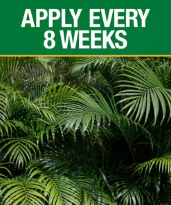 Vigoro 20 lb. All Season Ixora and Ornamental Plant Food (8-4-8) -Vigoro sales Store vigoro plant food fertilizer 162227 1f 1000