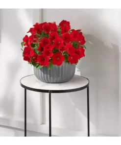 Vigoro 15 in. Marble Look Top Indoor Black Plant Stand