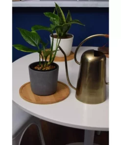 Vigoro 10 in. Bamboo Plant Saucer -Vigoro sales Store vigoro planter saucers bbs10vg 76 1000