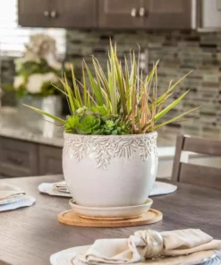 Vigoro 10 in. Bamboo Plant Saucer -Vigoro sales Store vigoro planter saucers bbs10vg fa 1000