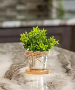 Vigoro 4 in. Bamboo Plant Saucer 11 Vigoro 4 in. Bamboo Plant Saucer -Vigoro sales Store vigoro planter saucers bbs4vg 1f 1000