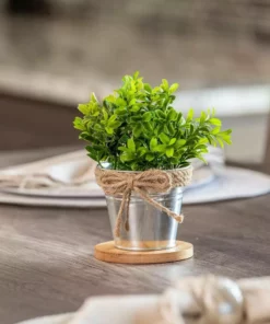 Vigoro 4 in. Bamboo Plant Saucer 12 Vigoro 4 in. Bamboo Plant Saucer -Vigoro sales Store vigoro planter saucers bbs4vg 44 1000