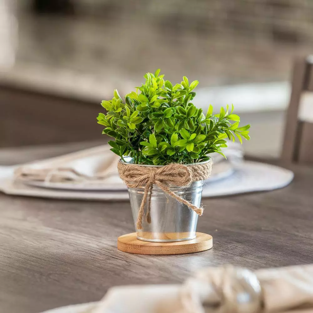 Vigoro 4 in. Bamboo Plant Saucer 7 Vigoro 4 in. Bamboo Plant Saucer - Image 5