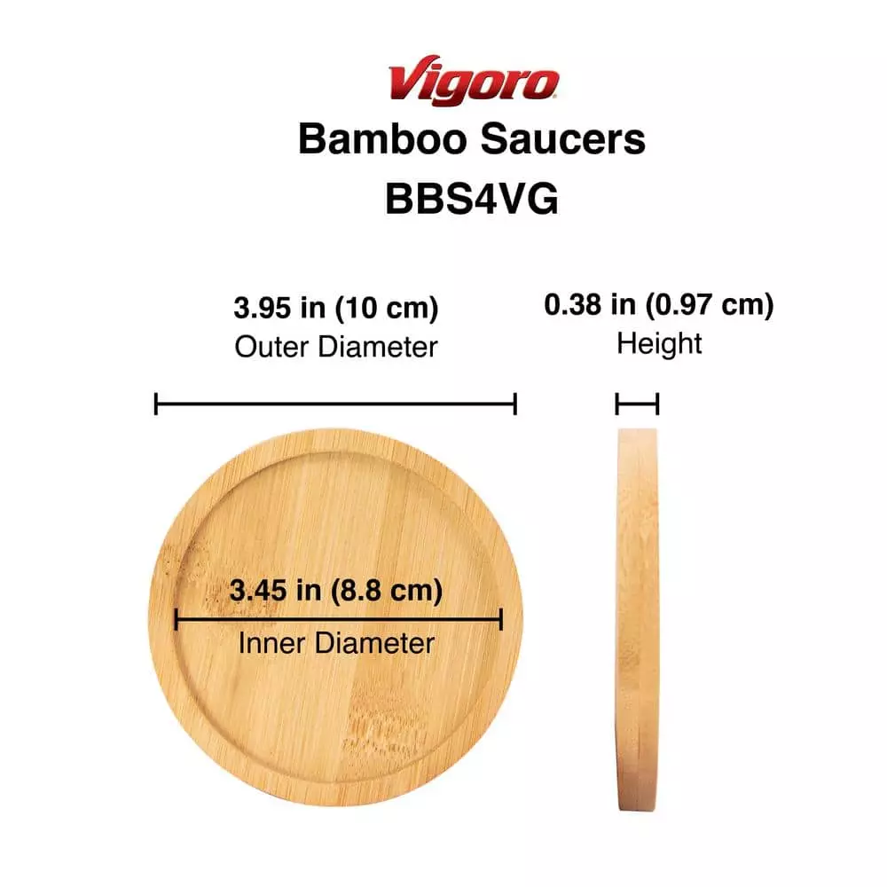 Vigoro 4 in. Bamboo Plant Saucer 5 Vigoro 4 in. Bamboo Plant Saucer - Image 3