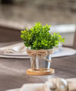 Vigoro 4 in. Bamboo Plant Saucer 13 Vigoro 4 in. Bamboo Plant Saucer -Vigoro sales Store vigoro planter saucers bbs4vg fa 1000