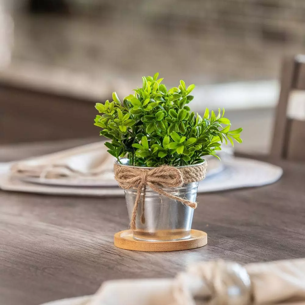 Vigoro 4 in. Bamboo Plant Saucer 8 Vigoro 4 in. Bamboo Plant Saucer - Image 6