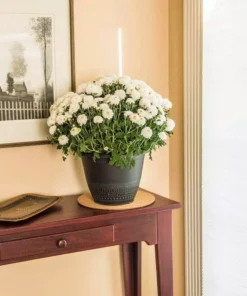 Vigoro 10 in. Cork Mat -Vigoro sales Store vigoro planter saucers cm10phbdi 4f 1000