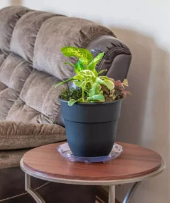 Vigoro 10 in. Heavy Duty Plant Saucer -Vigoro sales Store vigoro planter saucers sp10vg 4f 1000