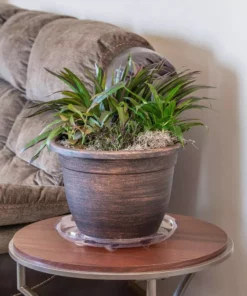 Vigoro 14 in. Heavy Duty Plant Saucer 12 Vigoro 14 in. Heavy Duty Plant Saucer -Vigoro sales Store vigoro planter saucers sp14vg 44 1000