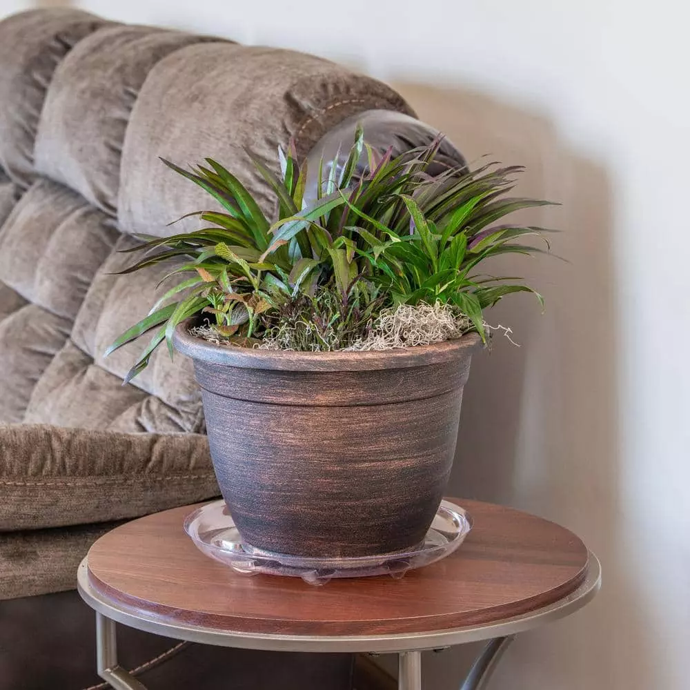 Vigoro 14 in. Heavy Duty Plant Saucer 4 Vigoro 14 in. Heavy Duty Plant Saucer - Image 2