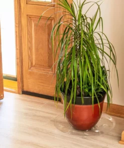 Vigoro 16 in. Heavy Duty Planter Saucer -Vigoro sales Store vigoro planter saucers sp16vg 44 1000