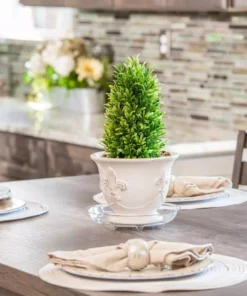 Vigoro 6 in. Heavy Duty Plant Saucer 8 Vigoro 6 in. Heavy Duty Plant Saucer -Vigoro sales Store vigoro planter saucers sp6vg 1f 1000