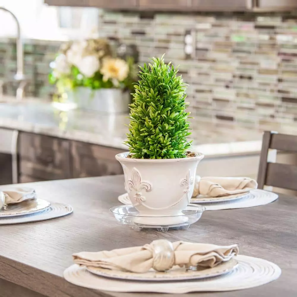 Vigoro 6 in. Heavy Duty Plant Saucer 5 Vigoro 6 in. Heavy Duty Plant Saucer - Image 3