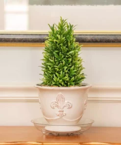 Vigoro 8 in. Heavy Duty Plant Saucer 9 Vigoro 8 in. Heavy Duty Plant Saucer -Vigoro sales Store vigoro planter saucers sp8vg 1f 1000