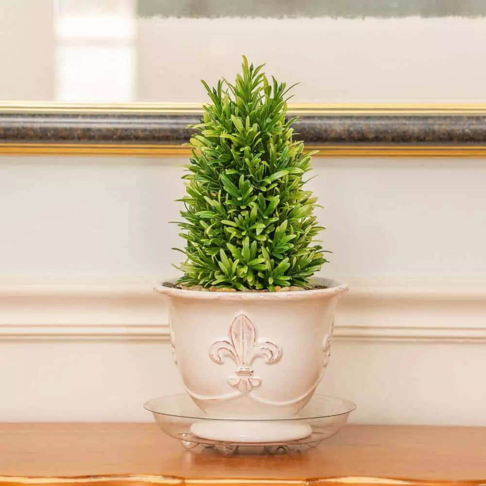 Vigoro 8 in. Heavy Duty Plant Saucer 5 Vigoro 8 in. Heavy Duty Plant Saucer - Image 3