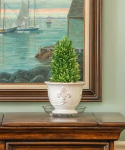 Vigoro 8 in. Heavy Duty Plant Saucer 10 Vigoro 8 in. Heavy Duty Plant Saucer -Vigoro sales Store vigoro planter saucers sp8vg 44 1000