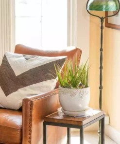 Vigoro 10 in. Plastic Plant Saucer -Vigoro sales Store vigoro planter saucers vs10vg 1f 1000