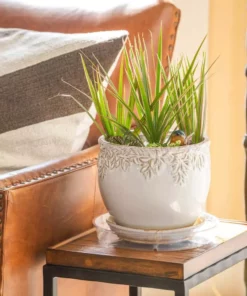 Vigoro 10 in. Plastic Plant Saucer -Vigoro sales Store vigoro planter saucers vs10vg 44 1000