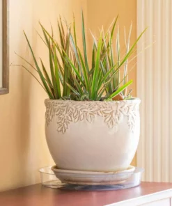 Vigoro 10 in. Plastic Plant Saucer -Vigoro sales Store vigoro planter saucers vs10vg fa 1000