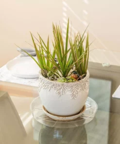 Vigoro 12 in. Plastic Plant Saucer 9 Vigoro 12 in. Plastic Plant Saucer -Vigoro sales Store vigoro planter saucers vs12vg 44 1000