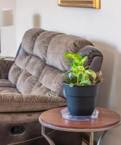 Vigoro 12 in. Plastic Plant Saucer 8 Vigoro 12 in. Plastic Plant Saucer -Vigoro sales Store vigoro planter saucers vs12vg 4f 1000