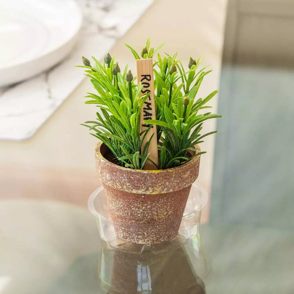 Vigoro 4 in. Plastic Plant Saucer 6 Vigoro 4 in. Plastic Plant Saucer - Image 4