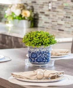 Vigoro 6 in. Plastic Plant Saucer 9 Vigoro 6 in. Plastic Plant Saucer -Vigoro sales Store vigoro planter saucers vs6vg 1f 1000