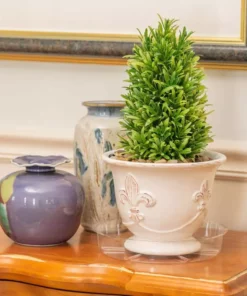 Vigoro 8 in. Plastic Plant Saucer 15 Vigoro 8 in. Plastic Plant Saucer -Vigoro sales Store vigoro planter saucers vs8vg 44 1000