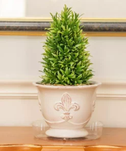 Vigoro 8 in. Plastic Plant Saucer 16 Vigoro 8 in. Plastic Plant Saucer -Vigoro sales Store vigoro planter saucers vs8vg fa 1000