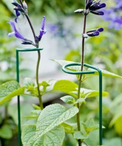 Vigoro 18 in. H x 1.50 in. W Steel Plant Prop -Vigoro sales Store vigoro tomato cages 611872 hd 44 1000