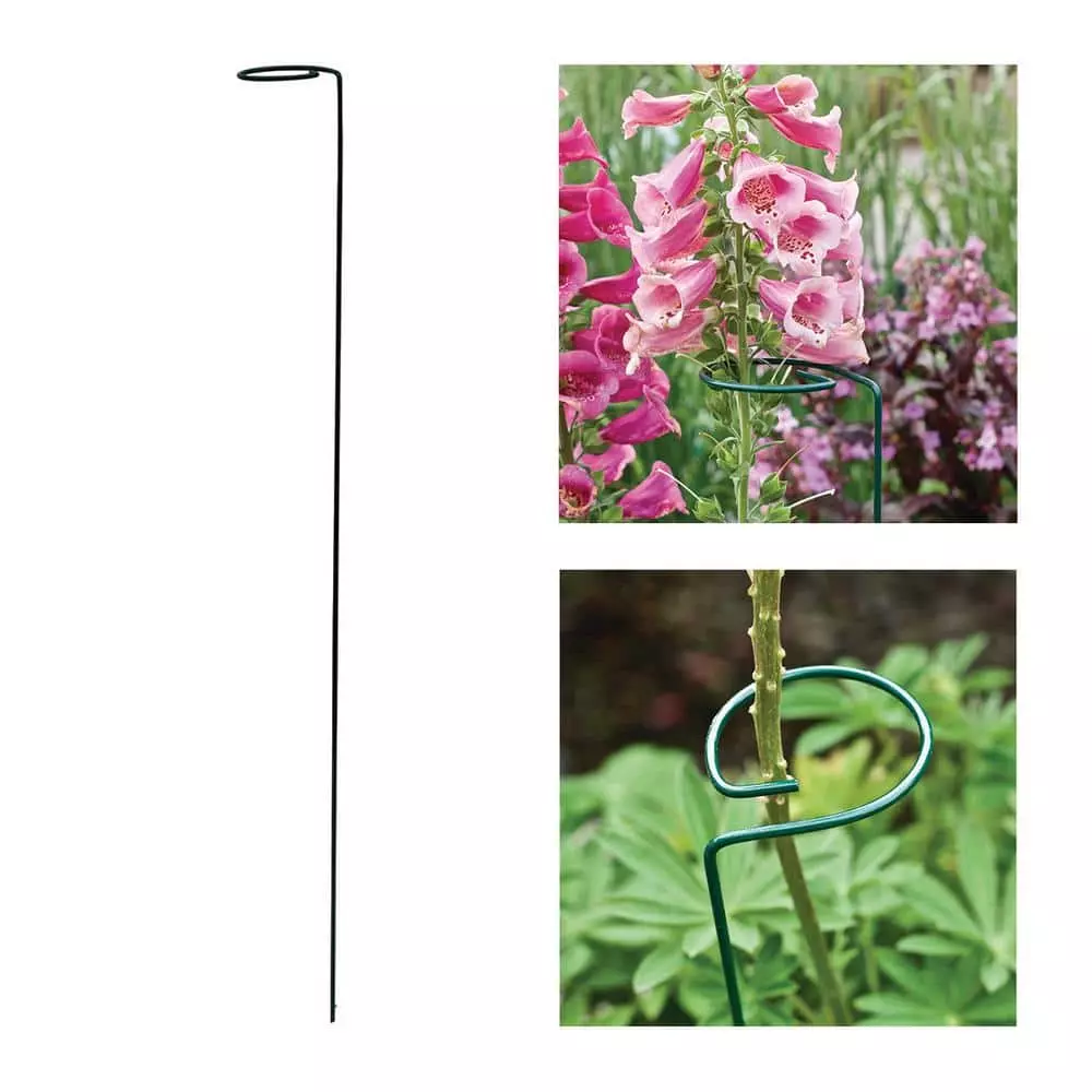 Vigoro 36 in. H x 2.24 in. W Metal Plant Prop 9 Vigoro 36 in. H x 2.24 in. W Metal Plant Prop - Image 7