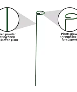 Vigoro 36 in. H x 2.24 in. W Metal Plant Prop 16 Vigoro 36 in. H x 2.24 in. W Metal Plant Prop -Vigoro sales Store vigoro tomato cages 613672 hd 4f 1000