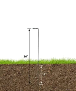 Vigoro 36 in. H x 2.24 in. W Metal Plant Prop 15 Vigoro 36 in. H x 2.24 in. W Metal Plant Prop -Vigoro sales Store vigoro tomato cages 613672 hd c3 1000