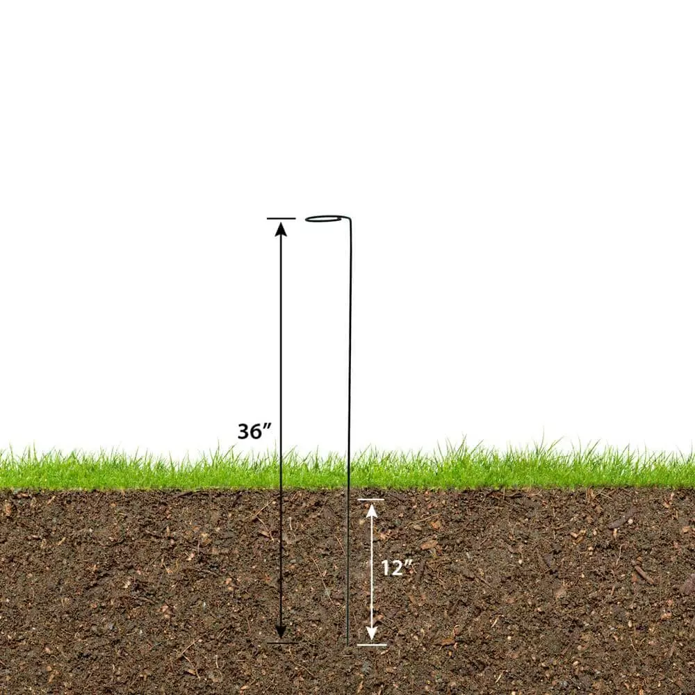 Vigoro 36 in. H x 2.24 in. W Metal Plant Prop 6 Vigoro 36 in. H x 2.24 in. W Metal Plant Prop - Image 4
