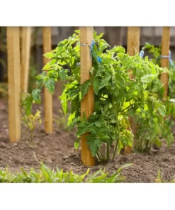 Vigoro 4 ft. Wooden Garden Stake -Vigoro sales Store vigoro tomato cages rc 84n 4f 1000