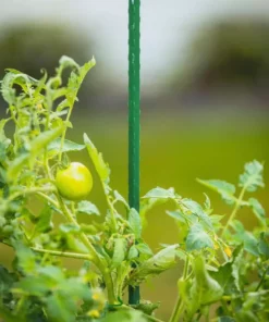 Vigoro 4 ft. Green Colored Steel Core Garden Stake 17 Vigoro 4 ft. Green Colored Steel Core Garden Stake -Vigoro sales Store vigoro tomato cages st4vg 76 1000