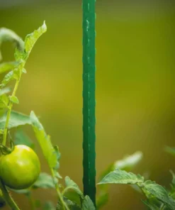 Vigoro 5 ft. Green Colored Steel Core Garden Stake 13 Vigoro 5 ft. Green Colored Steel Core Garden Stake -Vigoro sales Store vigoro tomato cages st5vg 66 1000