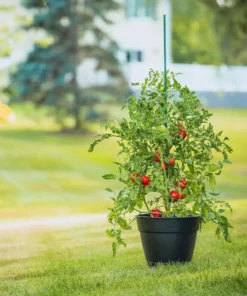 Vigoro 5 ft. Green Colored Steel Core Garden Stake 14 Vigoro 5 ft. Green Colored Steel Core Garden Stake -Vigoro sales Store vigoro tomato cages st5vg c3 1000