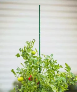 Vigoro 6 ft. Green Colored Steel Core Garden Stake -Vigoro sales Store vigoro tomato cages st6vg 66 1000