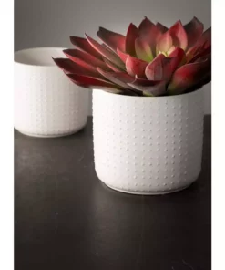SULLIVANS White Ceramic Planter (Set of 2) -Vigoro sales Store white sullivans plant pots cm2952 4f 1000