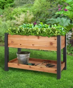 Vigoro 2 ft. x 4 ft. Elevated Cedar Garden Bed with Shelf (Vinyl Legs) -Vigoro sales Store wood vigoro raised planter boxes 445190 4f 1000
