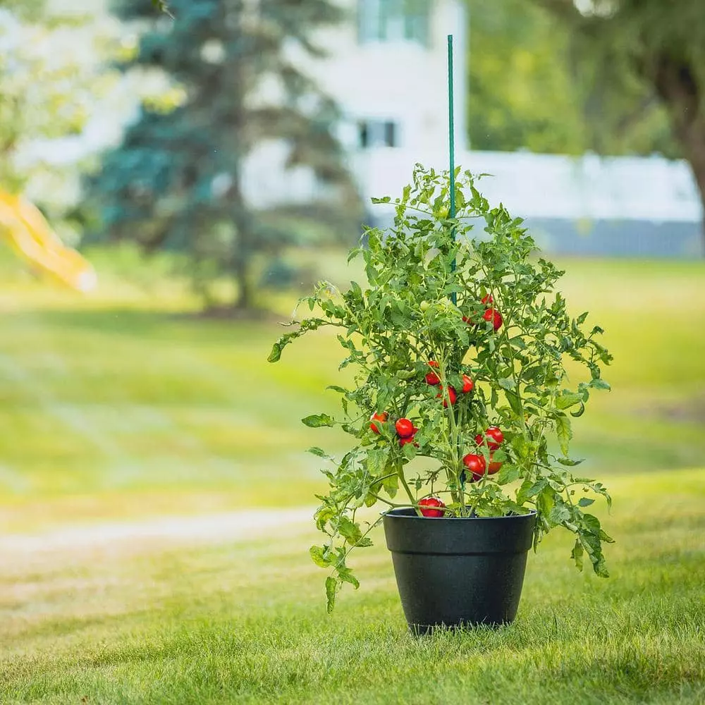 Vigoro sales Store 43 Vigoro sales Store -Vigoro sales Store vigoro tomato cages st6vg c3 1000